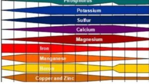 soybean nutrient uptake chart