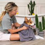 Emergency Preparedness for Pet Owners